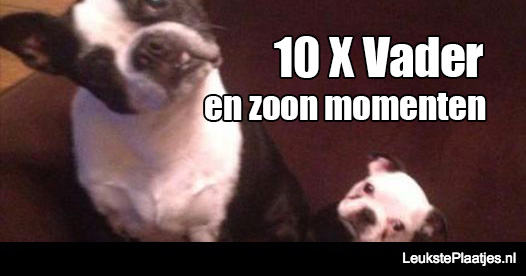 vader en zoon momenten