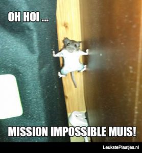 mission impossible muis