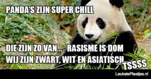 super chille panda