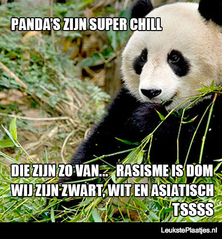 super-chill-panda