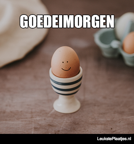 goedeimorgen