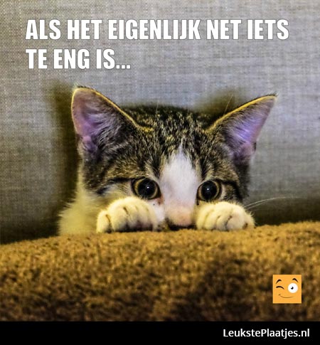 Als het net iets te eng is