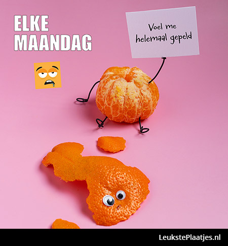 maandag... ik ben helemaal gepeld