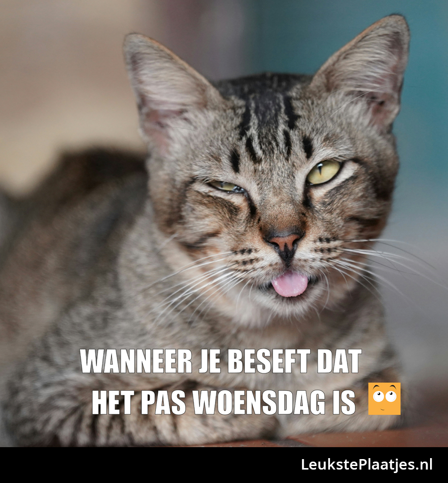 Besef pas woensdag