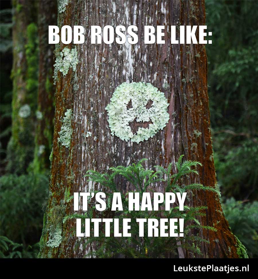 Bob Ross zijn happy little tree is gevonden